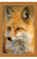 Fox Notebook: Lined Journal for Animal Lovers