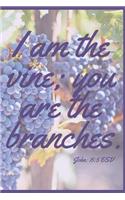 I Am the Vine; You Are the Branches (John 15