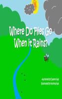 Where Do Flies Go When It Rains?