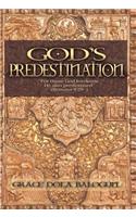 God's Predestination