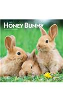 Honey Bunny 2021 Mini 7x7