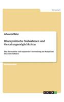 Bilanzpolitische Maßnahmen und Gestaltungsmöglichkeiten