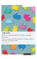 What is a group and how does a group function? Group dynamics and the model according to Bruce Tuckman and Ruth Cohn