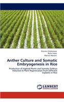 Anther Culture and Somatic Embryogenesis in Rice