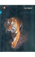 Los Tigres