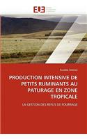 Production intensive de petits ruminants au paturage en zone tropicale