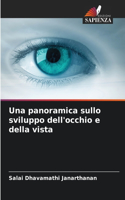 Una panoramica sullo sviluppo dell'occhio e della vista