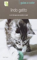 Lindo gatito: La via mas segura para socializar a tu gato