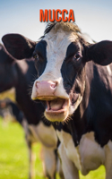 Mucca: Immagini bellissime e fatti interessanti Libro per bambini sui Mucca