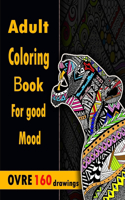 Adult coloring book for good mood: Coloring Book for adult-160 drawings