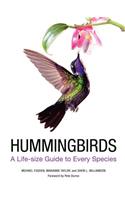 Hummingbirds