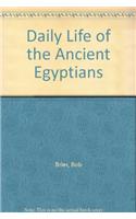 Daily Life of the Ancient Egyptians