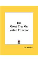 The Great Tree On Boston Common