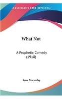 What Not: A Prophetic Comedy (1918)