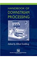 Handbook of Downstream Processing