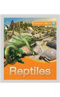 Reptiles