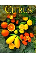 Citrus