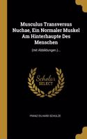 Musculus Transversus Nuchae, Ein Normaler Muskel Am Hinterhaupte Des Menschen