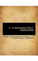 C. V. Otterstr M Fisk II. Bl Dfinnefisk