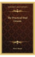 Practical Stud Groom