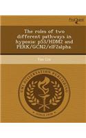 The Roles of Two Different Pathways in Hypoxia: P53/Hdm2 and Perk/Gcn2/Eif2alpha