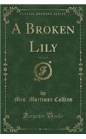 A Broken Lily, Vol. 2 of 3 (Classic Reprint)