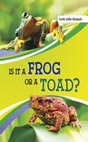 Is It a Frog or a Toad?: (Look-Alike Animals)