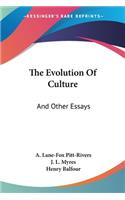 Evolution Of Culture