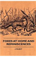 Foxes At Home And Reminiscences