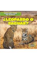 ¿Leopardo O Jaguar? (Leopard or Jaguar?)