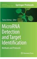 Microrna Detection and Target Identification