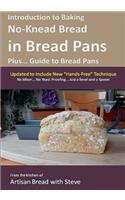 Introduction to Baking No-Knead Bread in Bread Pans (Plus... Guide to Bread Pans): From the kitchen of Artisan Bread with Steve(English)