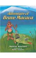 Adventure of Brave Macaca