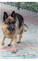 German Shepherd Dog Affirmations Workbook German Shepherd Dog Presents: Positive and Loving Affirmations Workbook. Includes: Mentoring Questions, Guidance, Supporting You.