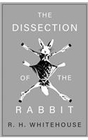 Dissection of the Rabbit