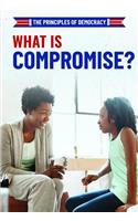 What Is Compromise?: (Principles of Democracy)