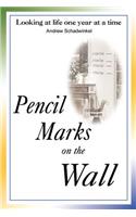 Pencil Marks on the Wall: Looking at Life One Year at a Time