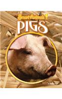 Pigs