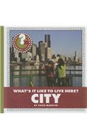 What's It Like to Live Here? City