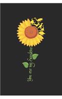 You are my Sunshine