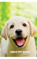 Labrador Puppy Notebook: 6 x 9 inch dog journal, diary, blank pages, 200 pagesI