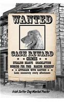 Irish Setter Dog Wanted Poster: Weekly Planner Notebook 365 Daily - 52 Week Journal 120 Pages 6x9