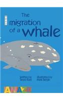 Migration of a Whale