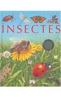 Insectes