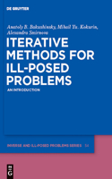 Iterative Methods for Ill-Posed Problems