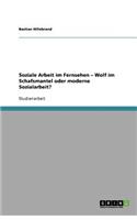 Soziale Arbeit im Fernsehen - Wolf im Schafsmantel oder moderne Sozialarbeit?