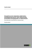 Perspektiven der stationären elektrischen Energiespeicherung für stark fluktuierende Erneuerbare Energiequellen im Netzverbund: Eine technisch-wirtschaftliche Untersuchung