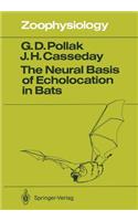 Neural Basis of Echolocation in Bats