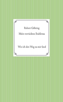 Mein verrücktes Stahlross