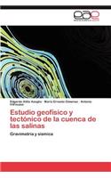 Estudio geofísico y tectónico de la cuenca de las salinas